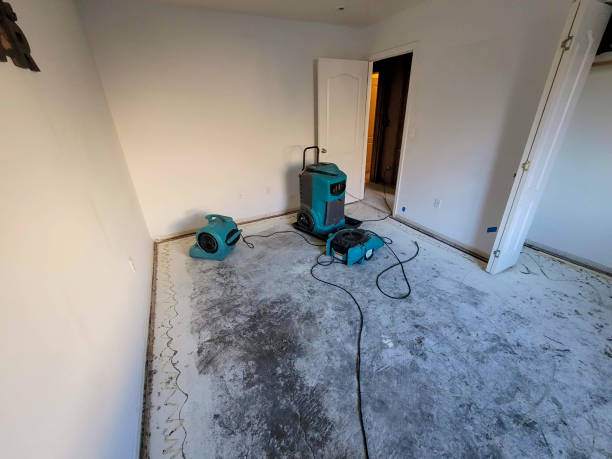 Best Water damage contractors near me  in Hauppauge, NY