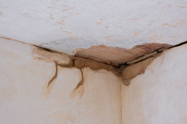 Best 24/7 water damage repair  in Hauppauge, NY