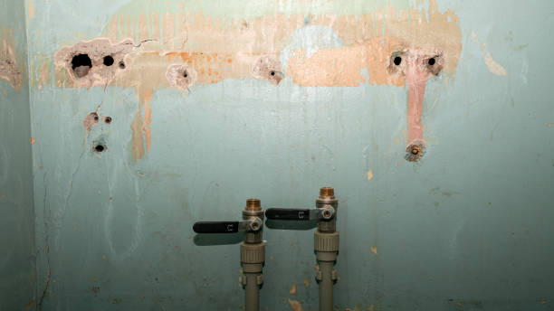 Best Water damage contractors near me  in Hauppauge, NY