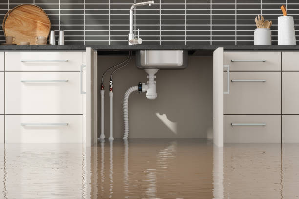 Best Sewage cleanup and water damage restoration  in Hauppauge, NY