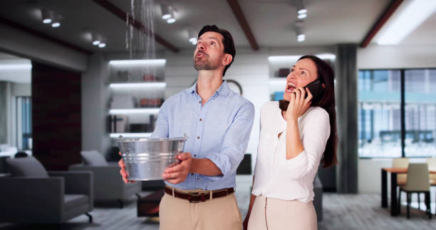 Best Water damage restoration near me  in Hauppauge, NY