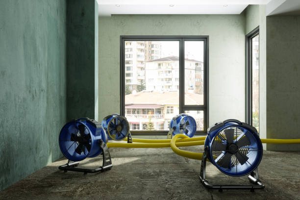 Best Fire Damage Restoration  in Hauppauge, NY